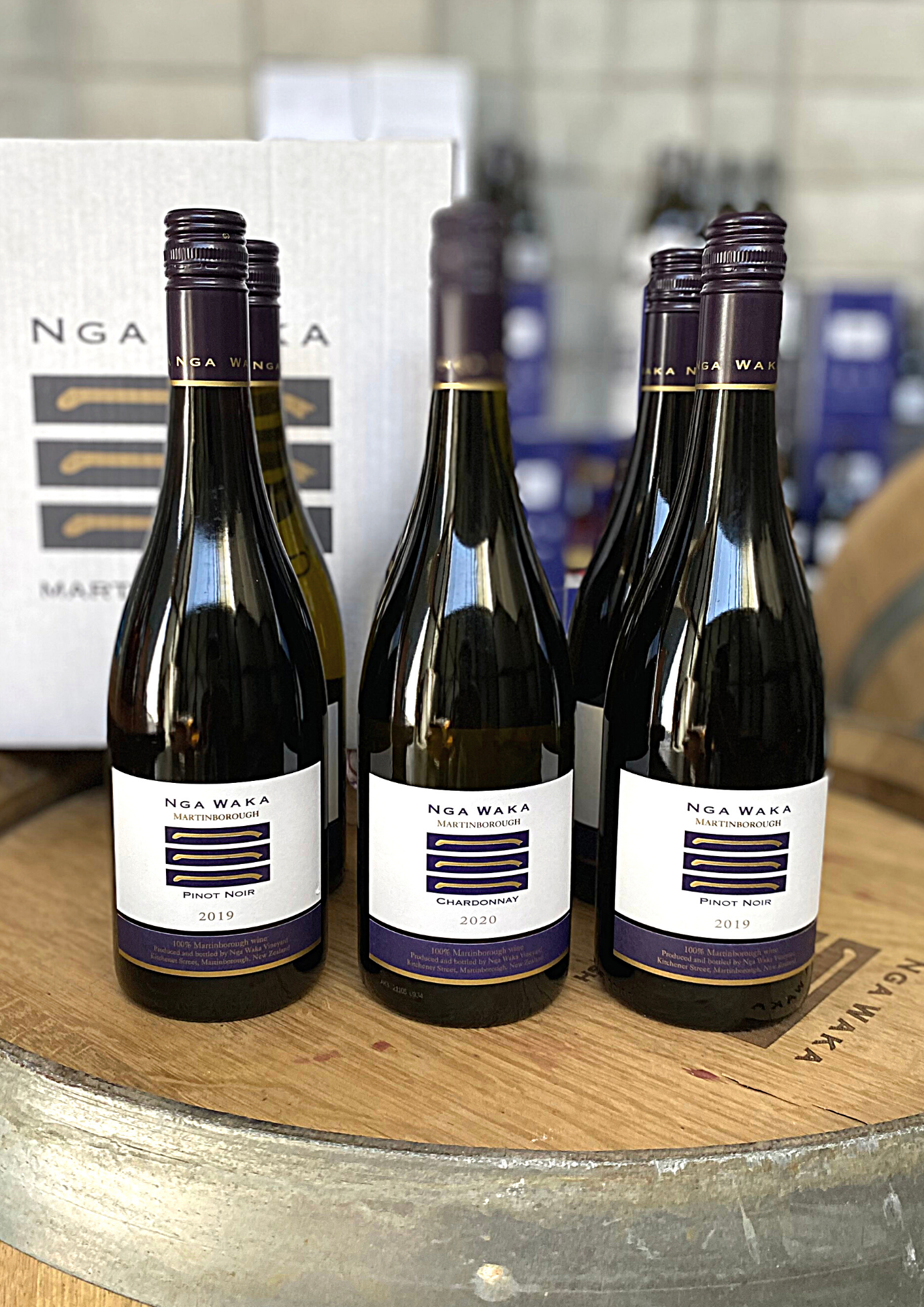 PN Ch 6 pack